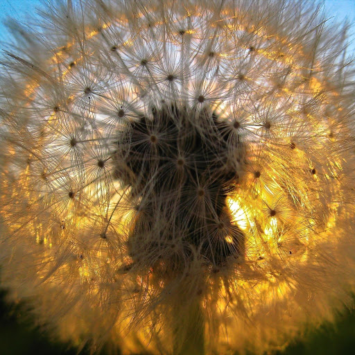 Hd-133468-ascw133468