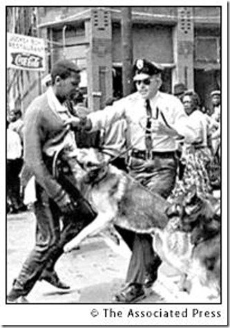 civil-rights-dogs