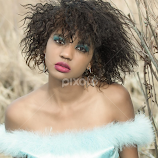 Wishful by Ilona Bates -  