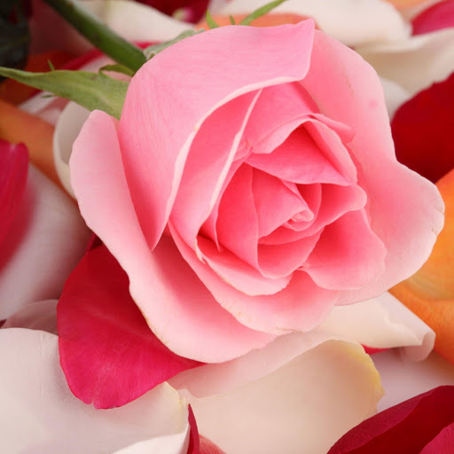 Hd-177641-ascw177641