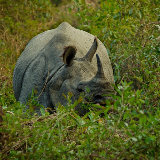 Hd-132383-ascw132383