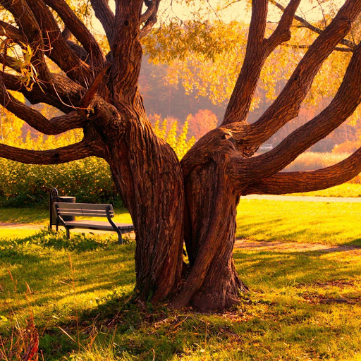 Hd-174322-ascw174322