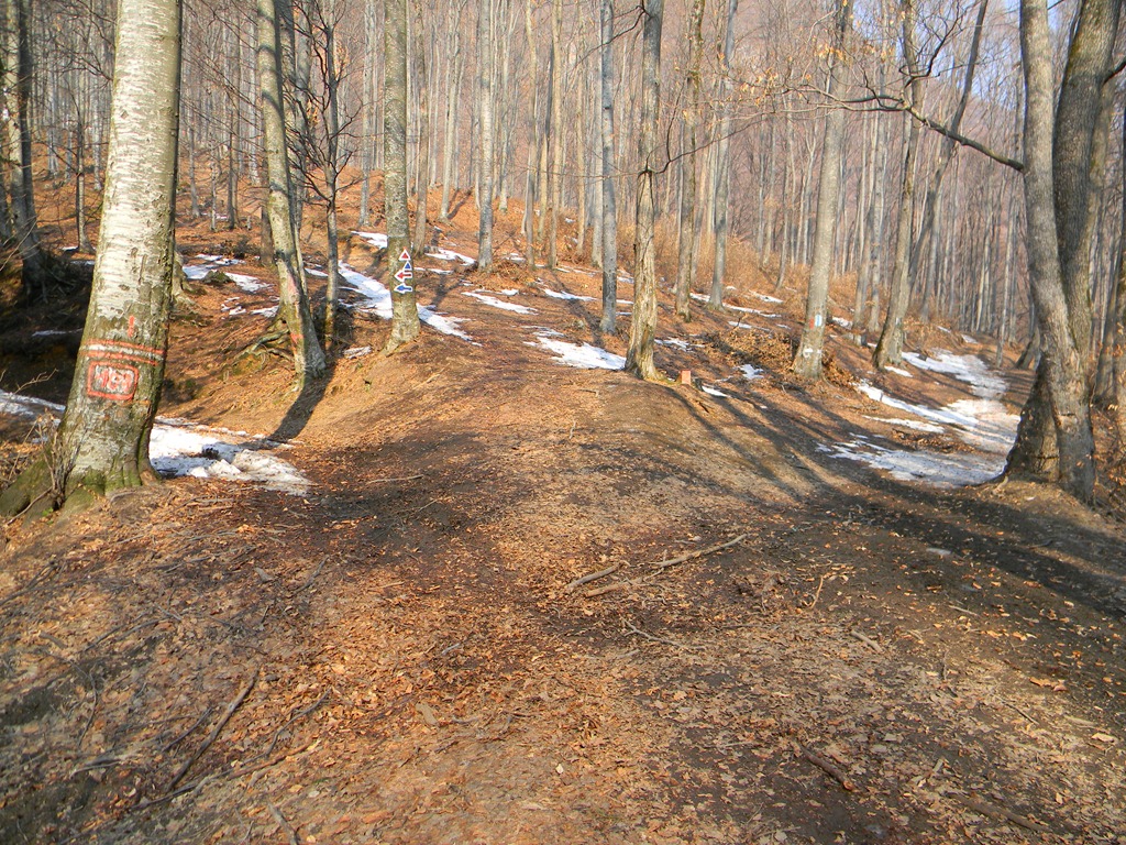 [DSCN72993.jpg]