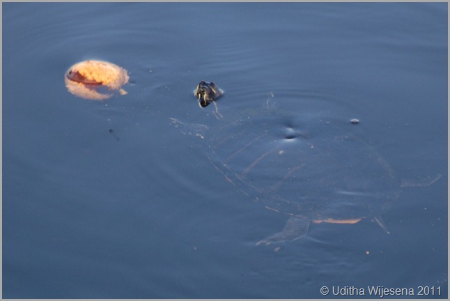 DSC_0066 DSC_0066