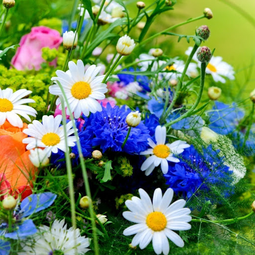 Hd-132466-ascw132466