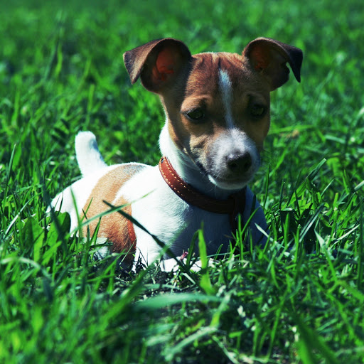 Hd-151790-ascw151790