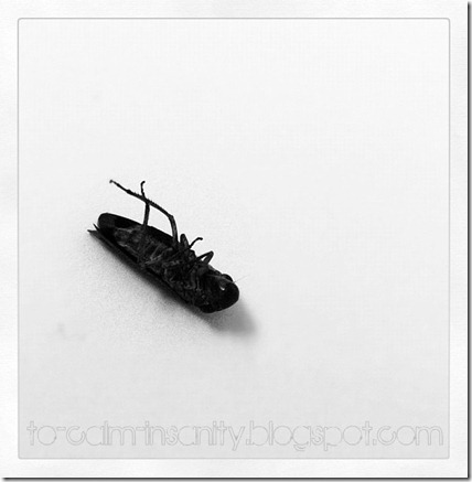 deadbug