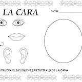 EL COS PROJECTE (16).JPG