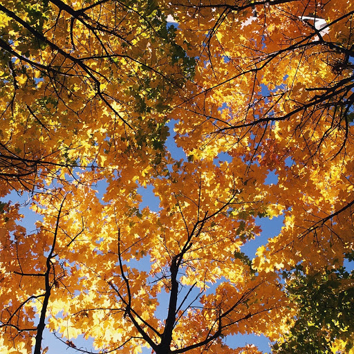 Hd-132218-ascw132218