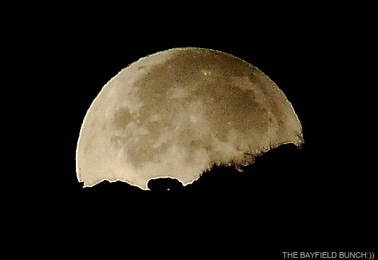 [DSC_7315%255B3%255D.jpg]