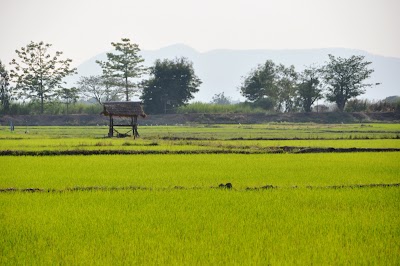 DSC_0204.JPG