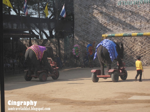 [Pattaya%255B2%255D.jpg.webp]