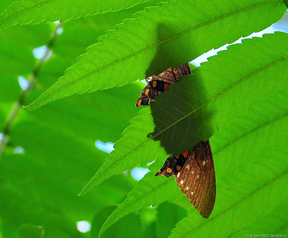 [DSC_0033%255B4%255D.jpg]