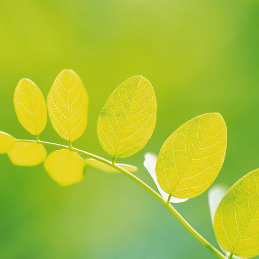 Hd-141621-ascw141621