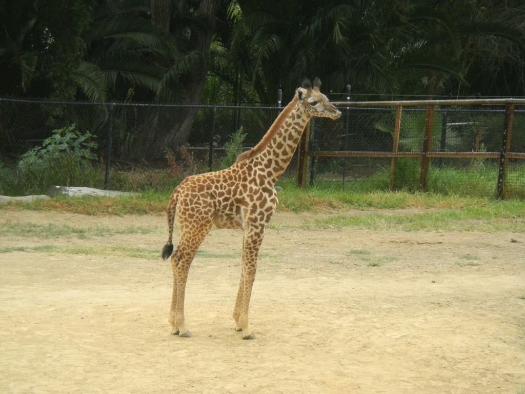 [DSCN5541%2520-%2520Kopie%255B4%255D.jpg]