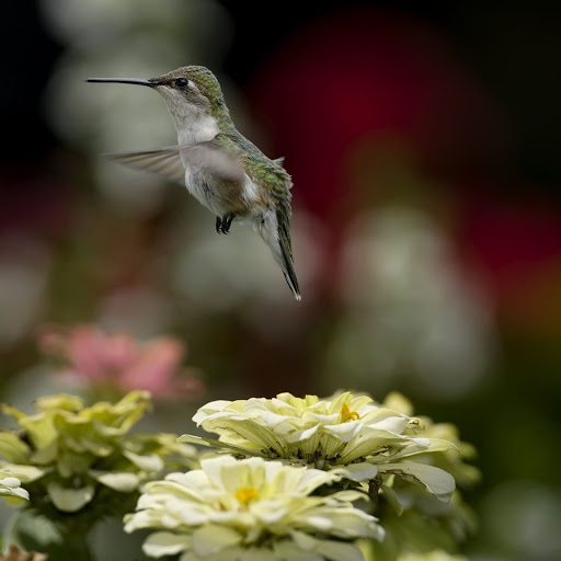 Hd-143716-ascw143716