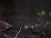 Austr_655_14.11.2007.JPG