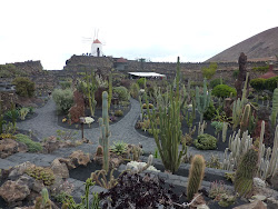 Lanzarote 2011 - - 020