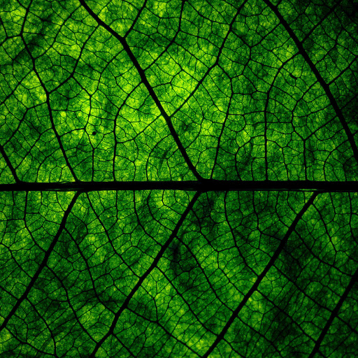 Hd-164011-ascw164011