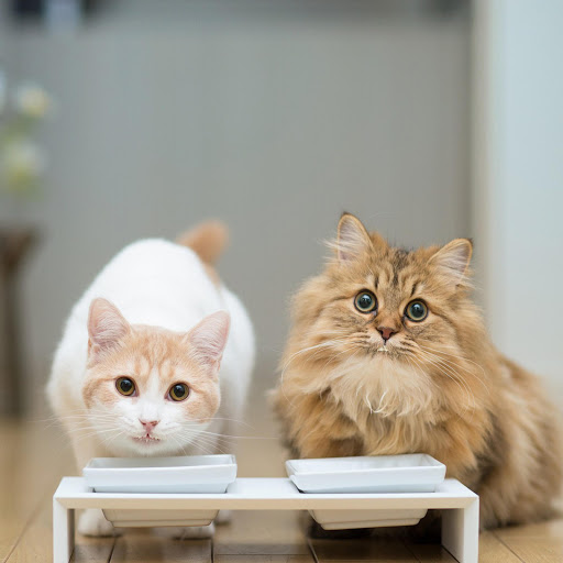 Hd-170412-ascw170412