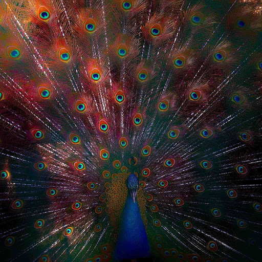 Hd-131175-ascw131175