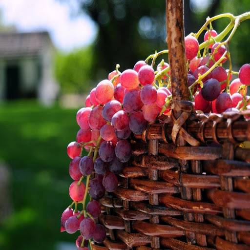 Hd-169034-ascw169034