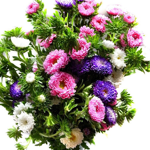 Hd-145177-ascw145177