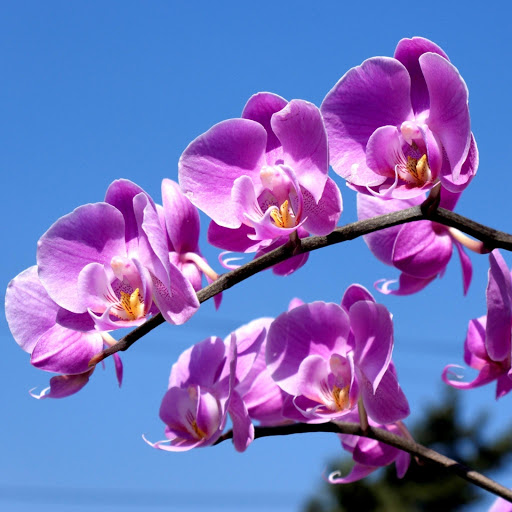 Hd-182338-ascw182338