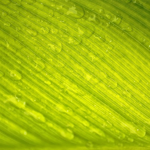 Hd-132586-ascw132586