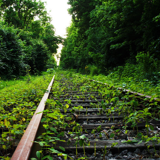 Hd-154238-ascw154238