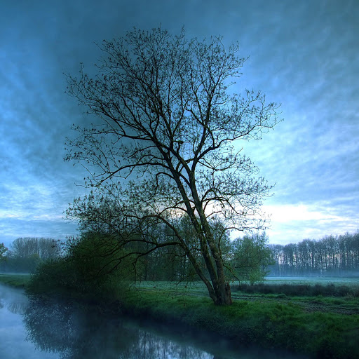 Hd-164165-ascw164165