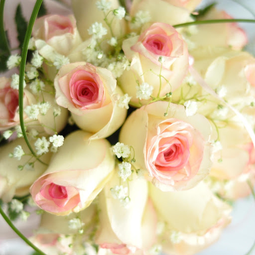 Hd-178099-ascw178099