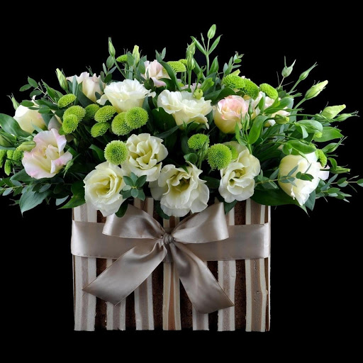 Hd-181158-ascw181158