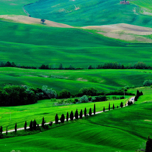 Hd-166629-ascw166629