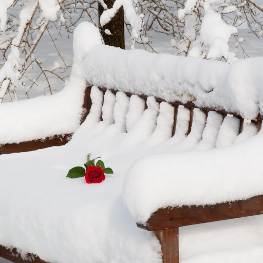 Hd-133430-ascw133430