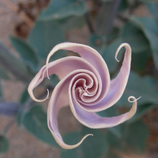 Hd-179861-ascw179861