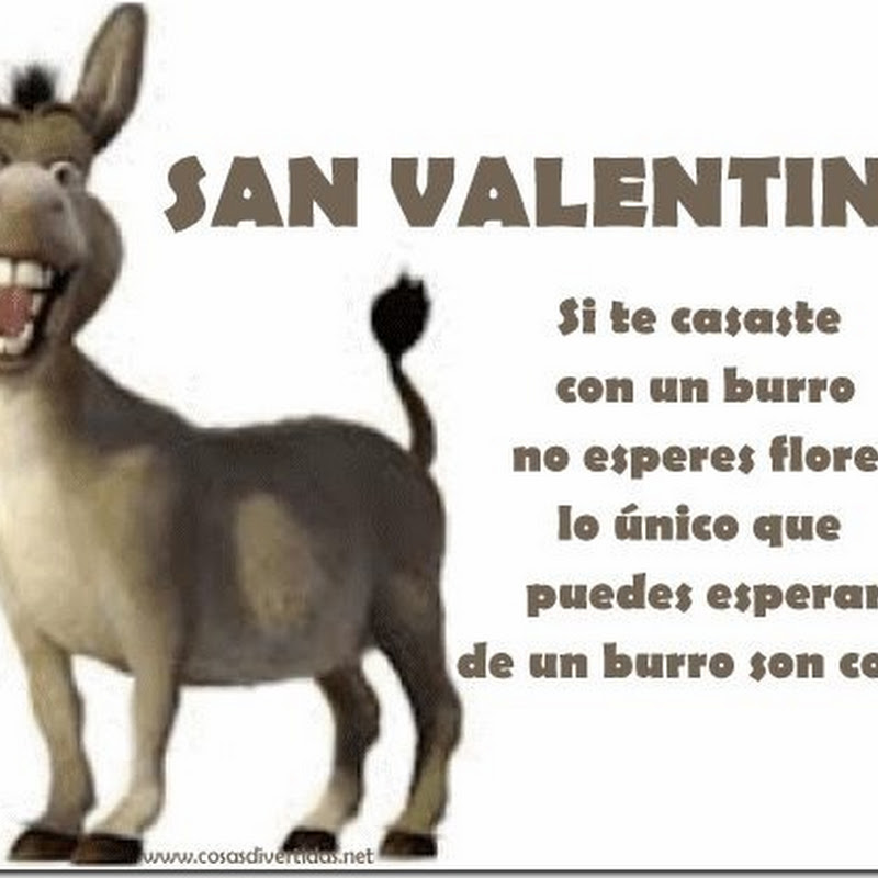 San Valentín si te casaste con un burro