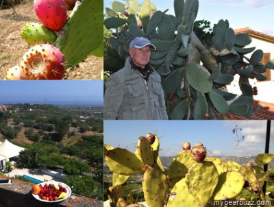 [image%255B3%255D.png]