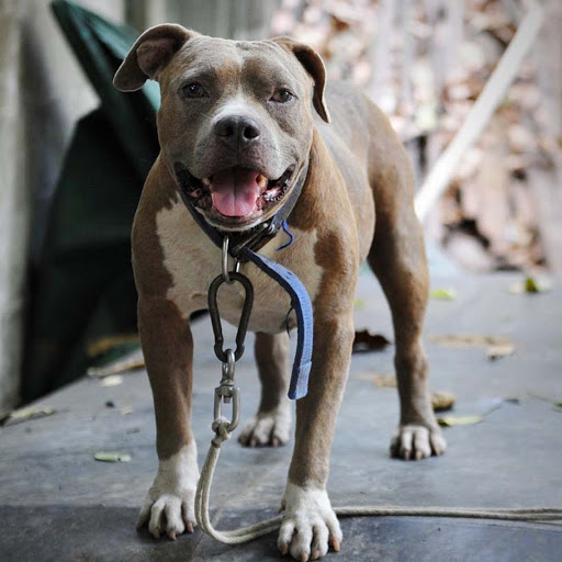 Hd-179122-ascw179122