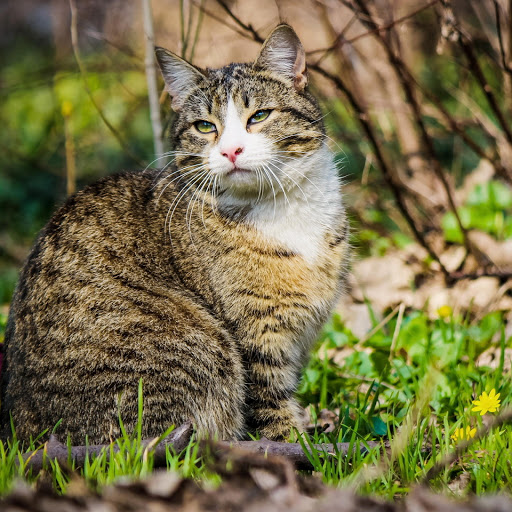 Hd-178314-ascw178314