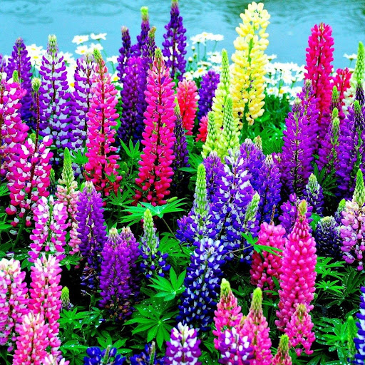 Hd-143609-ascw143609