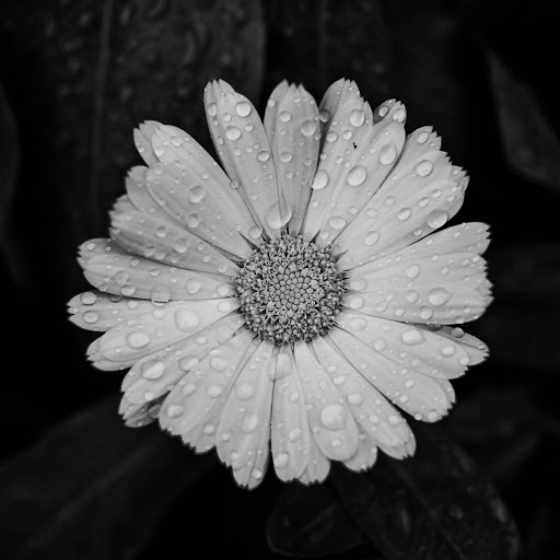 Hd-157396-ascw157396