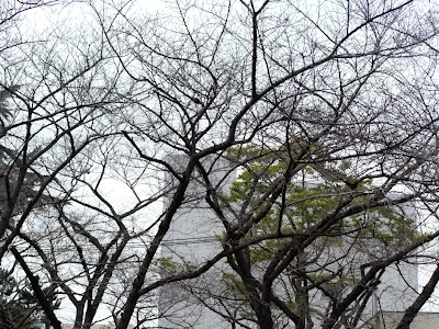 コンプリート！ 住吉 大社 うさぎ 345094-住吉大社 うさぎお祓い守