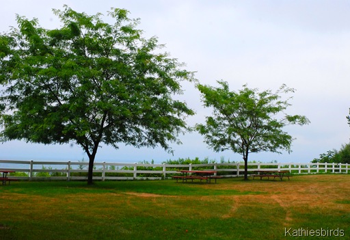 8. picnic tables-kab