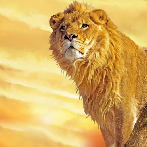 Hd-182063-ascw182063