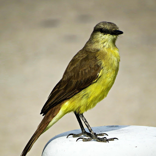 Hd-180591-ascw180591