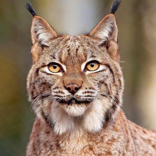 Hd-180438-ascw180438