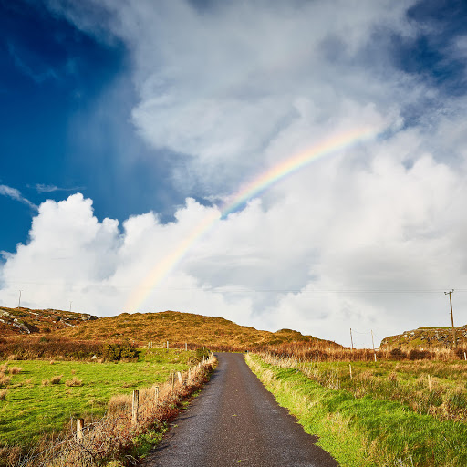 Hd-183004-ascw183004