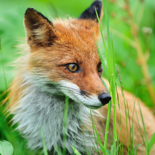 Hd-172867-ascw172867