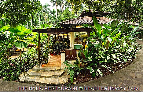 Halia Restuarant Singapore  Botanic gardens at Ginger Garden